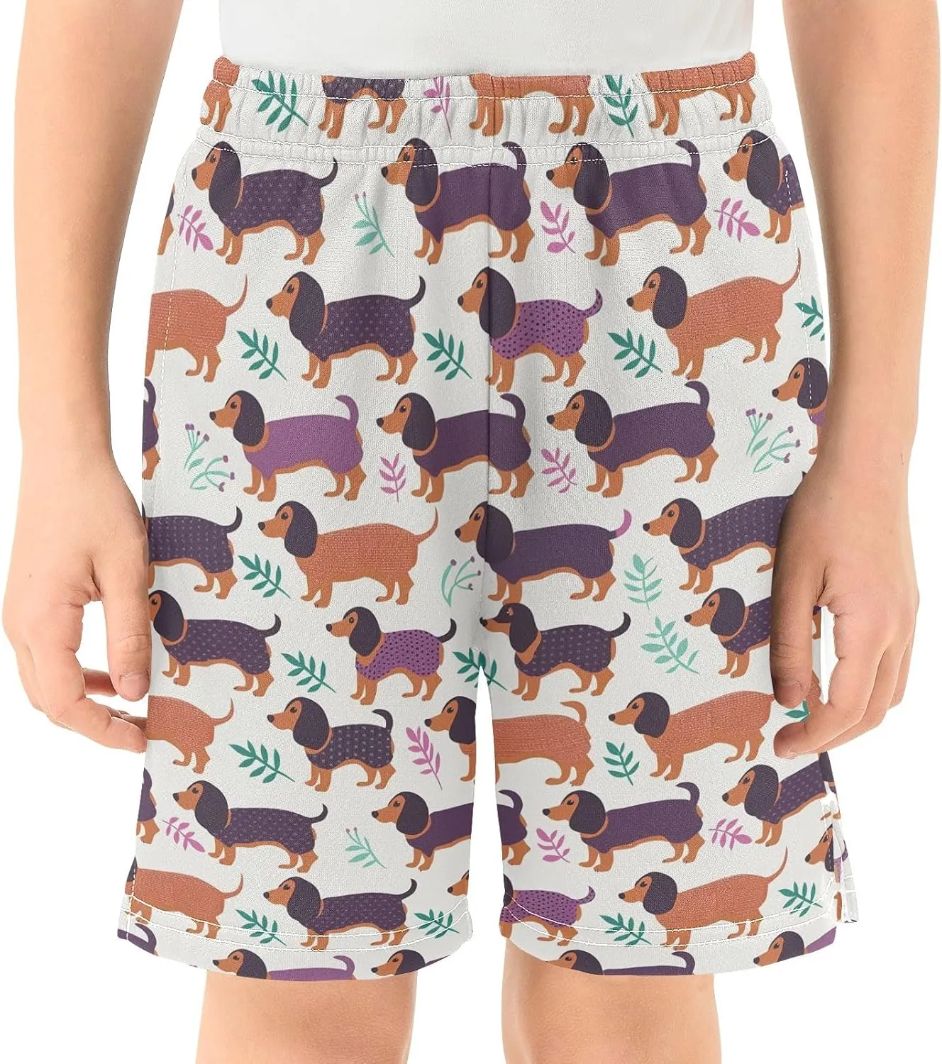 Colorful Dachshund Print Boys' Shorts Pants Summer Lounge Bottoms Boys Elastic Waist with Pockets