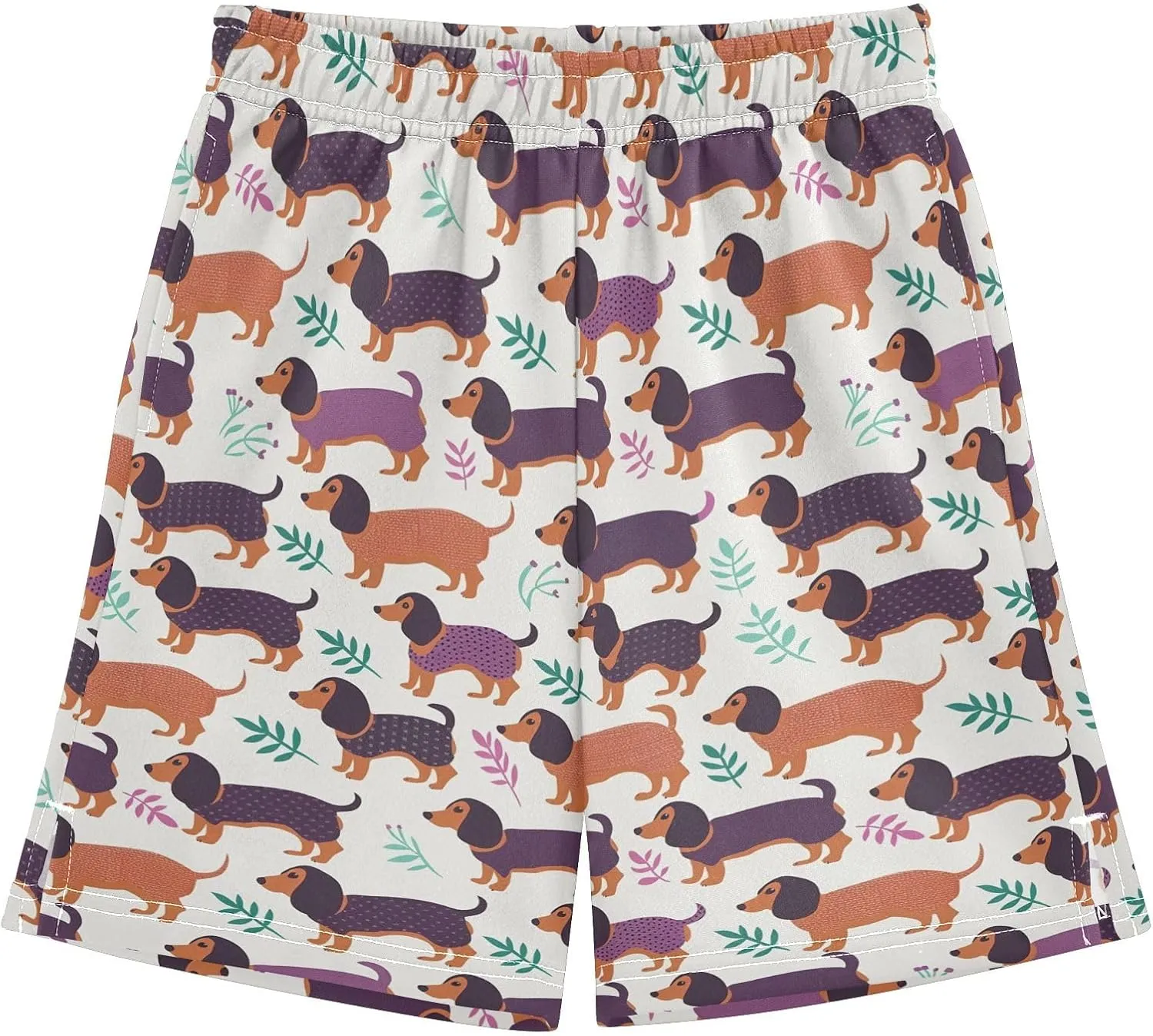 Colorful Dachshund Print Boys' Shorts Pants Summer Lounge Bottoms Boys Elastic Waist with Pockets